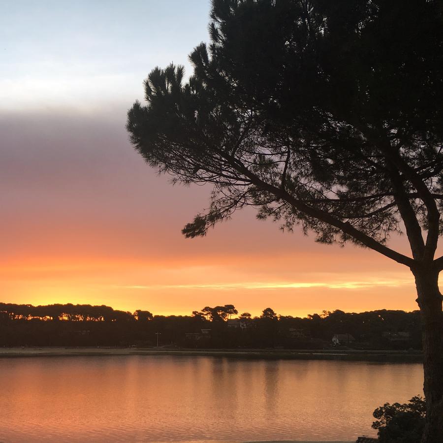 Hotel Les Hortensias Du Lac Soorts-Hossegor ภายนอก รูปภาพ